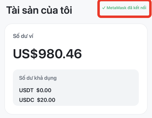 Màn hình MetaMask đã kết nối với Dollarparking